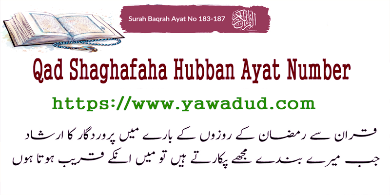 Qad Shaghafaha Hubban Ayat Number