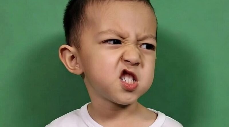 4 Best Dua For Stubborn Child In Quran - (Aggressive Child Solution) 1 4 Best Dua For Stubborn Child In Quran - (Aggressive Child Solution)